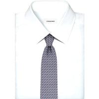Ferragamo Silk Tie