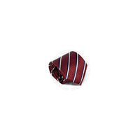 Zegna Mens Tie