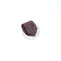 Zegna Mens Tie