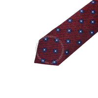 Zegna Mens Tie