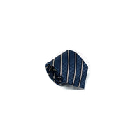Zegna Mens Tie