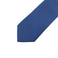 Ferragamo Silk Tie