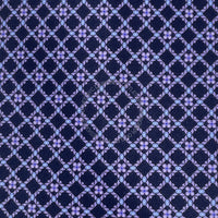 Mens Silk Tie