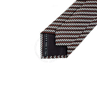 Zegna Mens Tie