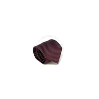 Zegna Mens Tie