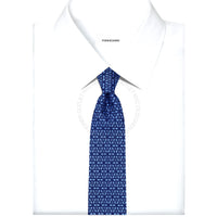 Ferragamo Silk Tie