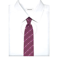 Ferragamo Silk Tie