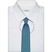 Ferragamo Silk Tie