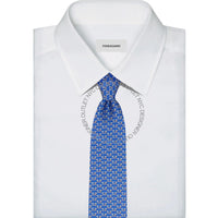 Ferragamo Silk Tie