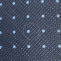 Borrelli Mens Silk Tie