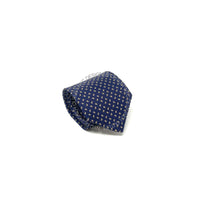 Borrelli Mens Silk Tie
