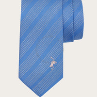 Ferragamo Silk Tie