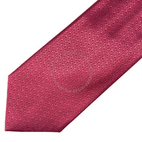 Zegna Silk Tie