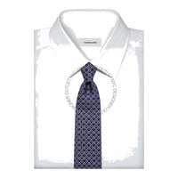 Ferragamo Silk Tie