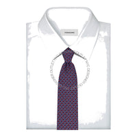 Ferragamo Silk Tie