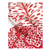 Ferragamo Women Scarf