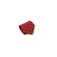 Ferragamo Silk Tie