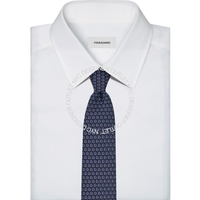 Ferragamo Silk Tie