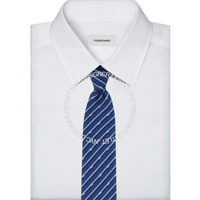 Ferragamo Silk Tie