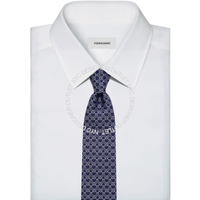 Ferragamo Silk Tie