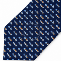 Ferragamo Silk Tie