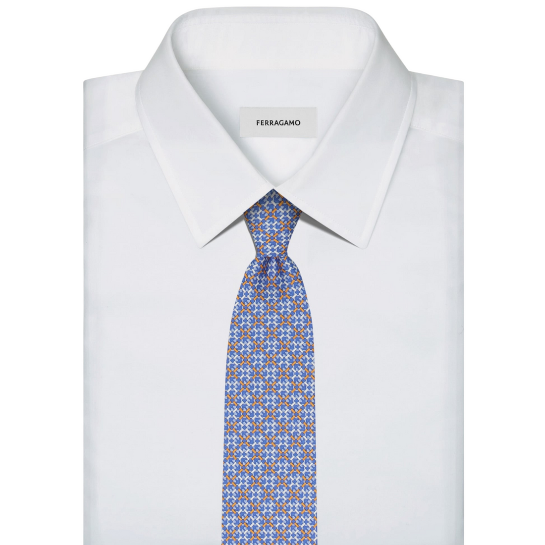 Ferragamo Silk Tie