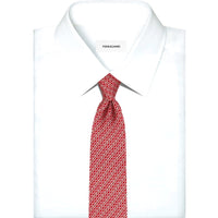 Ferragamo Silk Tie
