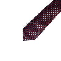 Zegna Mens Tie