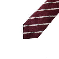 Zegna Mens Tie