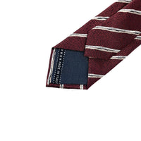 Zegna Mens Tie