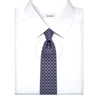 Ferragamo Silk Tie