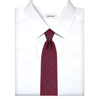 Ferragamo Silk Tie