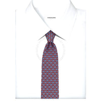 Ferragamo Silk Tie