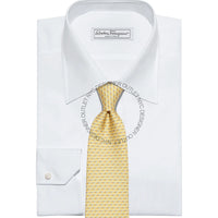 Ferragamo Silk Tie