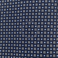 Borrelli Mens Silk Tie