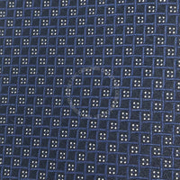 Borrelli Mens Silk Tie