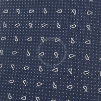 Borrelli Mens Silk Tie