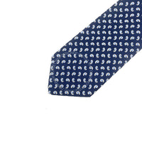 Borrelli Mens Silk Tie