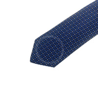 Borrelli Mens Silk Tie
