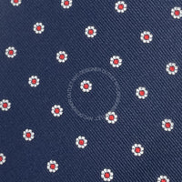 Borrelli Mens Silk Tie