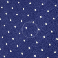 Borrelli Mens Silk Tie