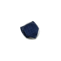 Borrelli Mens Silk Tie