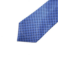 Zegna Silk Tie