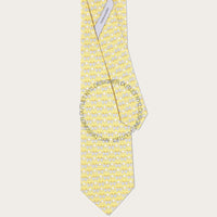 Ferragamo Silk Tie