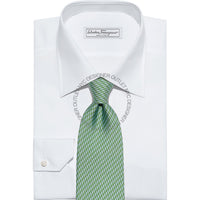 Ferragamo Silk Tie