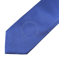 Zegna Silk Tie