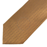 Zegna Silk Tie