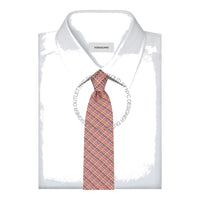 Ferragamo Silk Tie