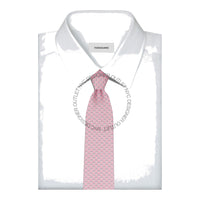 Ferragamo Silk Tie
