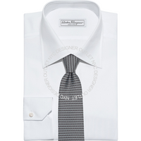 Ferragamo Silk Tie